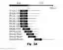 Fig. 06 - Novel Epitope for Switching to TH1 Cell and Use Thereof