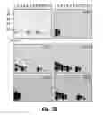 Fig. 07 - Novel Epitope for Switching to TH1 Cell and Use Thereof