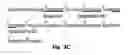Fig. 08 - Novel Epitope for Switching to TH1 Cell and Use Thereof