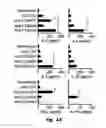 Fig. 09 - Novel Epitope for Switching to TH1 Cell and Use Thereof