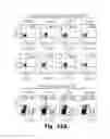 Fig. 35 - Novel Epitope for Switching to TH1 Cell and Use Thereof