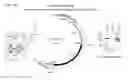 Fig. 02 - Compounds for treating neurodegenerative proteinopathies