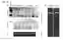 Fig. 43 - Compounds for treating neurodegenerative proteinopathies