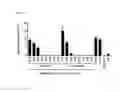 Fig. 03 - Purification of VWF