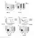 Fig. 02 - METHODS AND COMPOSITIONS RELATED TO INTRACELLULAR NEUTRALIZATION BY IgG