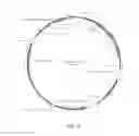 Fig. 02 - Flavivirus neutralizing antibodies and methods of use thereof