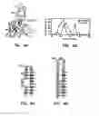 Fig. 05 - Reconstituted polypeptides