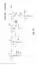 Fig. 30 - Reconstituted polypeptides