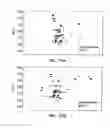 Fig. 34 - Reconstituted polypeptides