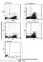 Fig. 50 - Reconstituted polypeptides