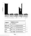 Fig. 07 - Anti-tau antibodies and methods of use