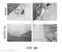 Fig. 06 - Compositions and methods for treating angiogenesis-related disorders