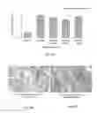 Fig. 08 - CONNECTIVE TISSUE GROWTH FACTOR ANTIBODIES