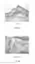 Fig. 10 - CONNECTIVE TISSUE GROWTH FACTOR ANTIBODIES