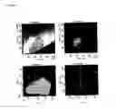 Fig. 02 - HUMAN MONOCLONAL ANTIBODIES THAT NEUTRALIZE BIOACTIVITY OF GRANULOCYTE MACROPHAGE COLONY-STIMULATING FACTOR AND METHODS AND USES THEREOF
