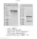 Fig. 14 - METHODS OF PRODUCING ANTIBODIES IN YEAST