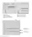 Fig. 18 - METHODS OF PRODUCING ANTIBODIES IN YEAST