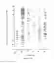 Fig. 23 - Type I Interferon Diagnostic