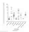 Fig. 24 - Type I Interferon Diagnostic