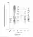 Fig. 25 - Type I Interferon Diagnostic