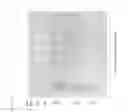 Fig. 25 - Antigen binding constructs to CD8