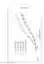 Fig. 28 - Antigen binding constructs to CD8