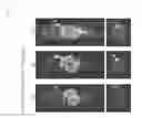 Fig. 48 - Antigen binding constructs to CD8