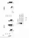 Fig. 58 - Methods of modulating immune function