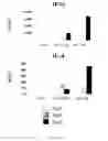 Fig. 68 - Methods of modulating immune function