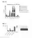 Fig. 08 - Method of imaging a cardiovascular disease with an anti-macrophage mannose receptor immunoglobulin single variable domain