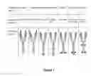 Fig. 02 - Proteins specific for BAFF and B7RP1 and uses thereof