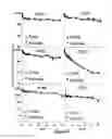Fig. 06 - Proteins specific for BAFF and B7RP1 and uses thereof