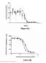 Fig. 07 - Proteins specific for BAFF and B7RP1 and uses thereof