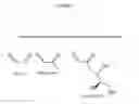 Fig. 02 - SEQUESTRANTS OF ADVANCED GLYCATION END PRODUCT (AGE) PRECURSORS