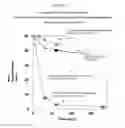 Fig. 03 - SEQUESTRANTS OF ADVANCED GLYCATION END PRODUCT (AGE) PRECURSORS