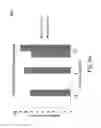 Fig. 07 - Raft agents and their use in the development of polyvinylpyrrolidone grafted nanoparticles