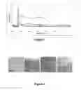 Fig. 03 - Periodic nanostructures from self assembled wedge-type block-copolymers