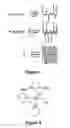 Fig. 04 - Periodic nanostructures from self assembled wedge-type block-copolymers