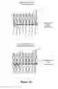 Fig. 05 - Microphase separation of block copolymer bottlebrushes
