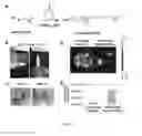 Fig. 02 - Temperature-Responsive Polymer Compositions and Methods of Use