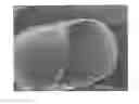 Fig. 01 - Composite material and method for producing same
