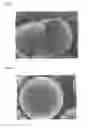 Fig. 03 - Composite material and method for producing same