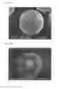 Fig. 10 - Composite material and method for producing same