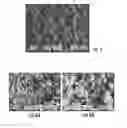 Fig. 04 - Sintered polymeric particles for porous structures