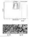 Fig. 06 - Sintered polymeric particles for porous structures