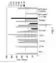 Fig. 02 - ALUMINUM PHOSPHATE OR POLYPHOSPHATE COMPOSITIONS