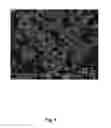 Fig. 02 - Polymer fibres comprising aerogel and method for production