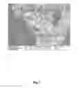 Fig. 08 - Polymer fibres comprising aerogel and method for production