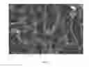 Fig. 02 - Resilient foams and uses thereof