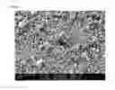 Fig. 08 - Composite filler particles and process for the preparation thereof